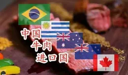 法國也來湊熱鬧，法國喊話以色列：立即停止對黎巴嫩的襲擊