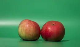 【十天之後回到現實】可別再出第二季了