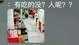 藏馬熊「光臨」餐館，服務員上演「驚魂記」！網友：這熊也吃人？