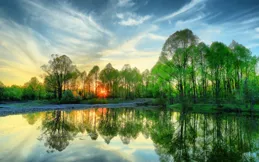 一開始，男性會積極地追求女性，使出渾身解數來取悅、靠近、示好