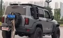 一男子釣上51斤大魚，為炫耀掛車尾，回家20分鐘車程加油500元。