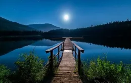 花開自有韻，勿念為誰香