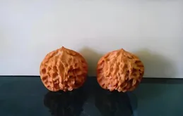 文玩核桃界十大熱門品種