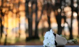 「老年人的自我修養：贏得子女心的實用指南！」