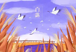 「白露三分補，秋冬少受苦」，白露將至，別忘吃「5寶」，去秋燥