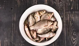 野釣致勝法寶！一開始你的釣魚思路就是錯的！立刻改！馬上釣大魚