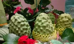 大陸叫停對台34項農產品零關稅 台農業主管部門評估成本至少增加107.5萬美元