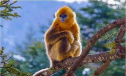 揭秘：地鐵到站時間如何「掐表」？出發與到達的「時間魔法」！