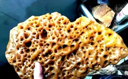 葡萄架下不起眼的爛石頭，被老板看中，結果賣了188萬