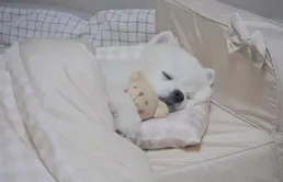 【健康】別把慢性疲勞當秋乏！5招重拾活力→