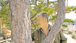 賀蘭山油松：構建奇趣的微觀世界