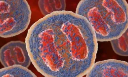 52歲女子確診外陰癌!她的三個