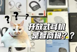 你心目中的國產藍芽耳機Top1是哪款耳機？