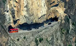 心驚膽戰！江西上饒，有村民在戶外公路，拍到條兩種顏色的罕見蛇