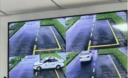 笑一笑，50張搞笑動圖：這只白貓，你擱這兒當臥底呢？