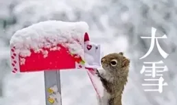 想象一下，今天的動物，將來會變成什麽樣子？