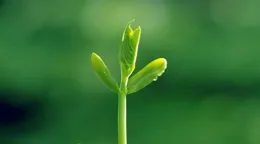 射手座 舉步維艱？可能是你被借運了！來「破局」，迎接好運勢！