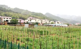 花16萬買了12個教訓