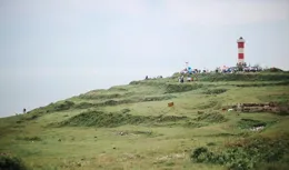 綜藝【一路繁花】開播：跨齡旅行的奇幻啟航