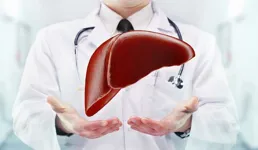 肝癌晚期如果不治療的話，生存期會有多久？