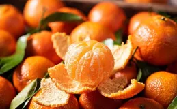 專家辟謠砂糖橘含大量果糖致癌耙耙柑打了退酸劑是謠言