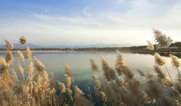 開啟余生，善待生活每一刻