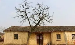 老了，回到鄉下造一小院