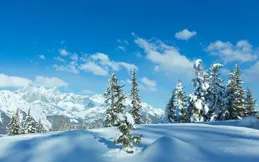 很多時候轉身就是永別