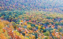 風水之謎：祖墳如何左右後代命運？