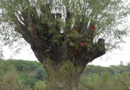 情頭丨我們一定會成為故事裏的主角