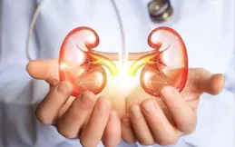 腎虛怎麽辦？兩味藥泡水喝，益精填髓，滋補陰血，陰陽同調