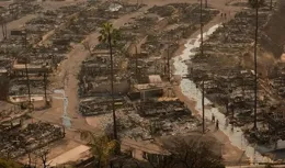 加州大火還沒滅，有人繼續放火，有人趁亂狂搶豪宅！市長瘋狂甩鍋
