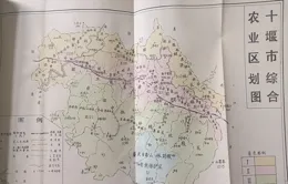 【秦楚迷蹤】細說十堰市城郊蔬菜種植的那些「根根秧秧」！