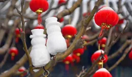 今年春節不一般，建議備好三樣東西，早知道早受益！