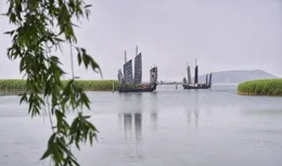 嫩糯甜美的無錫茭白，種植技術曾經傳男不傳女