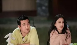 楊子「我也要臉」究竟道出了什麽心結？婚姻破裂的內在原因大揭秘