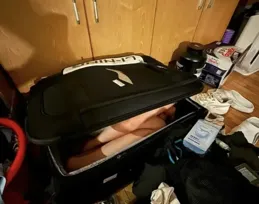 CBA球員把女友裝進行李箱，帶進宿舍熬夜補課