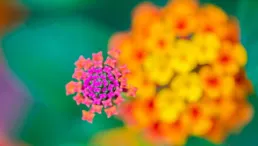 如果把你的人生拍成一場電影，你想叫什麽名字？評論區把人笑抽了