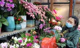 更換時令花卉 喜迎新春佳節