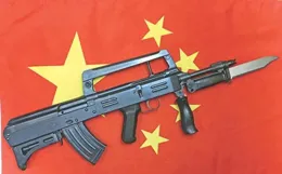 中國歷代國產步槍合集，有一款很多人沒見過