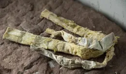 周末｜春節的前奏，是味蕾早回鄉