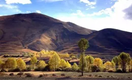 四川金頂擬競拍白雲巖采礦權 起拍價達3.54億元