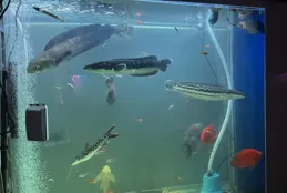 不管有錢沒錢，年底記得斷舍離「這6樣」，來年才能順順利利