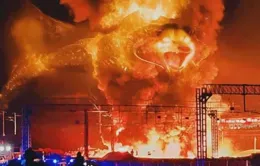 懸念揭秘：北約為何拱火到底，烏克蘭真正困境