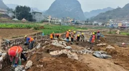 興義馬嶺街道：冬季攻堅，加快推進2024年高標準農田計畫建設