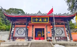 法藏寺的銀杏黃了