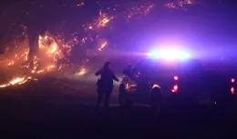 超20%山火因植被管理不善？美國加州山火難控背後的驚人真相引言