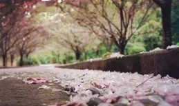 三首詞，一片冷香惟有夢，十分清瘦更無詩，寫盡人共梅花瘦