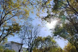 喜歡獨來獨往的人，往往是經歷了世態炎涼，看透了一些人性