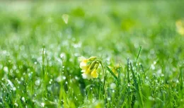 生活中，總要咽下一些委屈，不丟自我就好